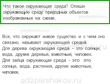 Учебник. Часть 1 – Что такое экология (стр. 28) – Проверь себя – 1 - 0