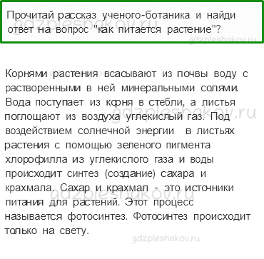 Учебник. Часть 1 – Солнце, растения и мы с вами (стр. 74) – Вопросы параграфа – 1 - 0