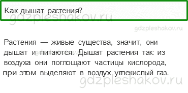 Учебник. Часть 1 – Солнце, растения и мы с вами (стр. 77) – Проверь себя – 1 - 0