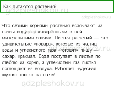 Учебник. Часть 1 – Солнце, растения и мы с вами (стр. 77) – Проверь себя – 2 - 0