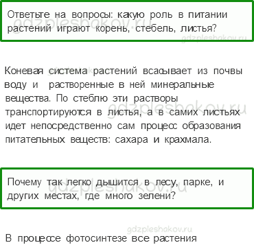 Учебник. Часть 1 – Солнце, растения и мы с вами (стр. 76) – Вопросы после параграфа – 3 - 0