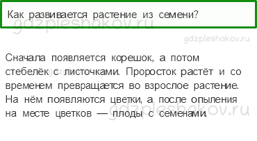 Учебник. Часть 1 – Размножение и развитие растений (стр. 81) – Проверь себя – 5 - 0