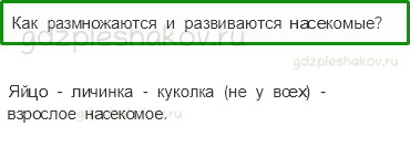 Учебник. Часть 1 – Развитие и размножение животных (стр. 104) – Проверь себя – 1 - 0