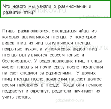 Учебник. Часть 1 – Развитие и размножение животных (стр. 104) – Проверь себя – 3 - 0