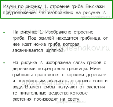 Учебник. Часть 1 – В царстве грибов (стр. 112) – Вопросы параграфа – 1 - 0