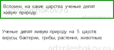 Учебник. Часть 1 – В царстве грибов (стр. 117) – На следующем уроке – 1 - 0
