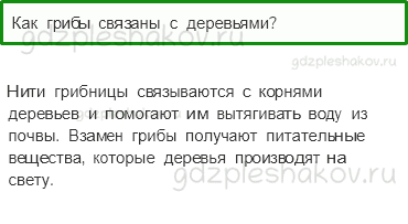 Учебник. Часть 1 – В царстве грибов (стр. 116) – Проверь себя – 2 - 0