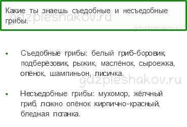 Учебник. Часть 1 – В царстве грибов (стр. 116) – Проверь себя – 4 - 0
