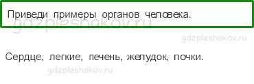 Учебник. Часть 1 – Организм человека (стр. 124) – Проверь себя – 1 - 0
