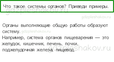 Учебник. Часть 1 – Организм человека (стр. 124) – Проверь себя – 3 - 0