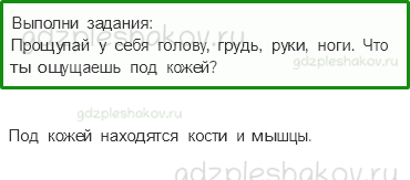 Учебник. Часть 1 – Надежная защита организма (стр. 133) – На следующем уроке – 1 - 0