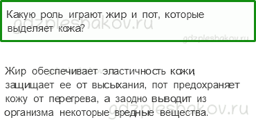 Учебник. Часть 1 – Надежная защита организма (стр. 133) – Проверь себя – 2 - 0