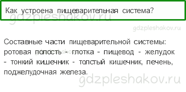 Учебник. Часть 1 – Наше питание (стр. 141) – Проверь себя – 2 - 0