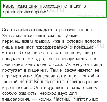 Учебник. Часть 1 – Наше питание (стр. 141) – Проверь себя – 3 - 0
