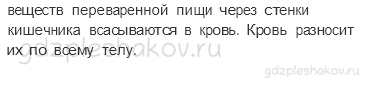 Учебник. Часть 1 – Наше питание (стр. 141) – Проверь себя – 3 - 1