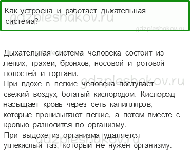 Учебник. Часть 1 – Дыхание и кровообращение (стр. 146) – Проверь себя – 1 - 0