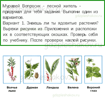 Рабочая тетрадь. Часть 2 – Наша безопасность (стр. 16) – Природа и наша безопасность – 2 - 0