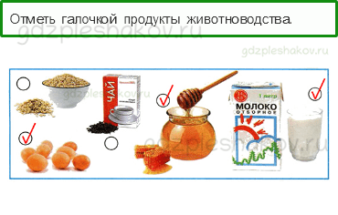 Рабочая тетрадь. Часть 2 – Чему учит экономика (стр. 37) – Животноводство – 6 - 0