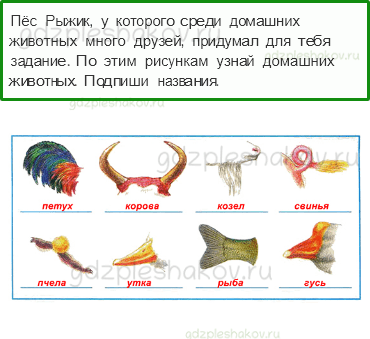 Рабочая тетрадь. Часть 2 – Чему учит экономика (стр. 36) – Животноводство – 4 - 0