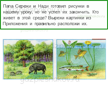 Рабочая тетрадь. Часть 1 – Как устроен мир (стр. 17) – Что такое экология – 3 - 0