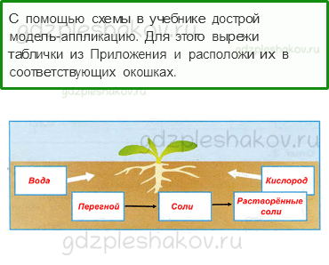 Рабочая тетрадь. Часть 1 – Эта удивительная природа (стр. 38) – Что такое почва – 5 - 0