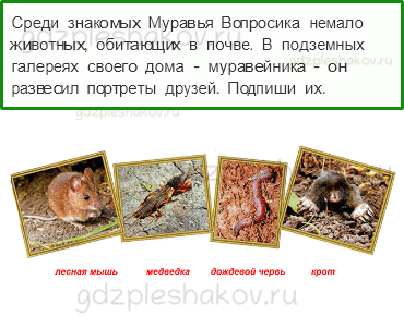 Рабочая тетрадь. Часть 1 – Эта удивительная природа (стр. 36) – Что такое почва – 2 - 0