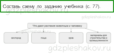 Рабочая тетрадь. Часть 1 – Эта удивительная природа (стр. 44) – Солнце, растения и мы с вами – 4 - 0