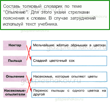 Рабочая тетрадь. Часть 1 – Эта удивительная природа (стр. 45) – Размножение и развитие растений – 2 - 0