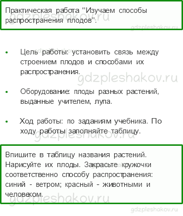 Рабочая тетрадь. Часть 1 – Эта удивительная природа (стр. 46) – Размножение и развитие растений – 3 - 0