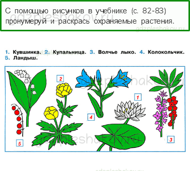 Рабочая тетрадь. Часть 1 – Эта удивительная природа (стр. 48) – Охрана растений – 4 - 0