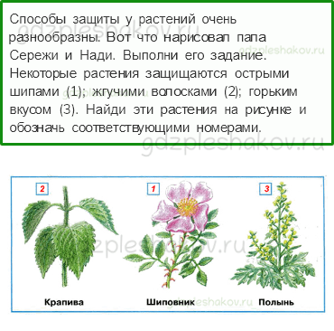 Рабочая тетрадь. Часть 1 – Эта удивительная природа (стр. 57) – Кто что ест – 5 - 0