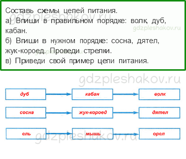 Рабочая тетрадь. Часть 1 – Эта удивительная природа (стр. 56) – Кто что ест – 4 - 0