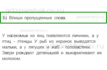 Рабочая тетрадь. Часть 1 – Эта удивительная природа (стр. 60) – Размножение и развитие животных – 2 - 3