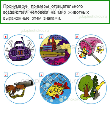 Рабочая тетрадь. Часть 1 – Эта удивительная природа (стр. 63) – Охрана животных – 2 - 0