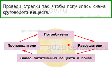 Рабочая тетрадь. Часть 1 – Эта удивительная природа (стр. 69) – Великий круговорот жизни – 2 - 0