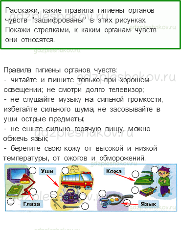 Рабочая тетрадь. Часть 1 – Мы и наше здоровье (стр. 74) – Органы чувств – 3 - 0