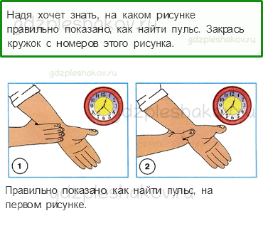 Рабочая тетрадь. Часть 1 – Мы и наше здоровье (стр. 83) – Дыхание и кровообращение – 4 - 0