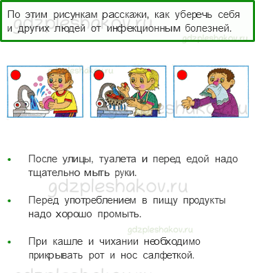 Рабочая тетрадь. Часть 1 – Мы и наше здоровье (стр. 85) – Умей предупреждать болезни – 3 - 0