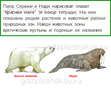 Рабочая тетрадь. Часть 1 – Природа России (стр. 41) – Зона арктических пустынь – 5 - 0