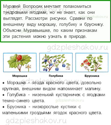 Рабочая тетрадь. Часть 1 – Природа России (стр. 43) – Тундра – 3 - 0