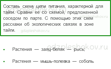 Рабочая тетрадь. Часть 1 – Природа России (стр. 49) – Леса России – 5 - 0