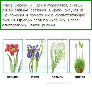 Мама сережи и нади интересуется знаешь ли