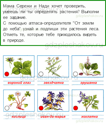 Рабочая тетрадь. Часть 1 – Родной край – часть большой страны (стр. 76) – Жизнь леса – 2 - 0