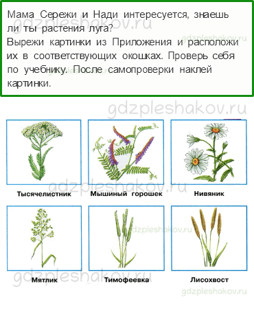 Рабочая тетрадь. Часть 1 – Родной край – часть большой страны (стр. 78) – Жизнь луга – 2 - 0