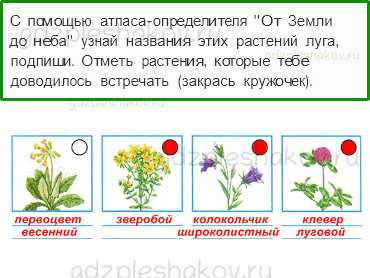 Тест по окружающему миру жизнь луга