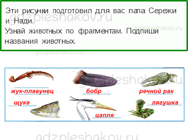 Рабочая тетрадь. Часть 1 – Родной край – часть большой страны (стр. 84) – Жизнь в пресных водах – 5 - 0
