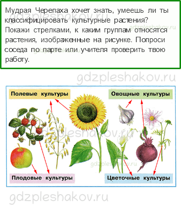 Рабочая тетрадь. Часть 1 – Родной край – часть большой страны (стр. 87) – Растениеводство в нашем крае – 2 - 0