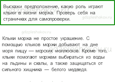 Учебник. Часть 1 – Зона арктических пустынь (стр. 81) – Вопросы параграфа – 2 - 0