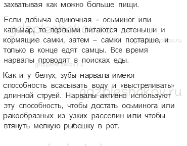 Учебник. Часть 1 – Зона арктических пустынь (стр. 82) – Задания для домашней работы – 2 - 3
