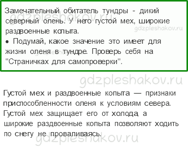 Учебник. Часть 1 – Тундра (стр. 85) – Работа в группе – 4 - 0